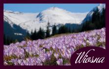 wiosna